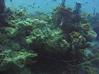 20061126_MA-00045.JPG