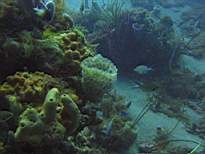 20061126_MA-00046.JPG