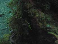 20061126_MA-00049.JPG