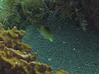 20061126_MA-00050.JPG