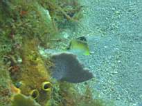 20061126_MA-00051.JPG