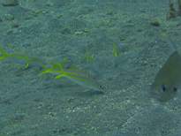 20061126_MA-00055.JPG