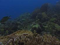 20061126_MA-00058.JPG