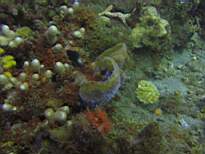 20061126_MA-00059.JPG