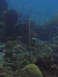 20061126_MA-00061.JPG