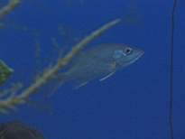 20061126_MA-00063.JPG