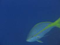 20061126_MA-00064.JPG