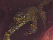 20061126_MA-00067.JPG