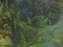 20061126_MA-00069.JPG