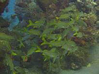 20061126_MA-00070.JPG