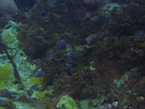 20061126_MI-00082.JPG
