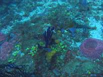 20061126_MI-00083.JPG