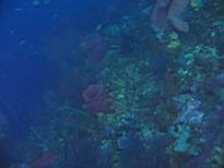 20061126_MI-00088.JPG