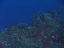 20061126_MI-00089.JPG