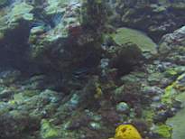 20061126_MI-00092.JPG