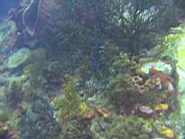 20061126_MI-00094.JPG