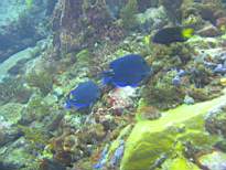 20061126_MI-00095.JPG