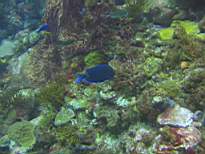 20061126_MI-00096.JPG