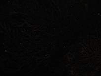 20061126_MI-00099.JPG