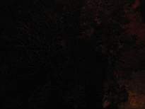20061126_MI-00100.JPG