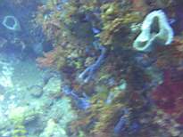 20061126_MI-00101.JPG
