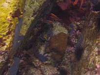 20061126_MI-00111.JPG