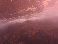 20061126_MI-00112.JPG