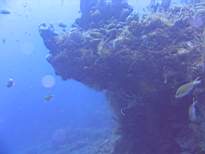20061127_MA-00116.JPG