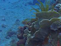 20061127_MA-00117.JPG
