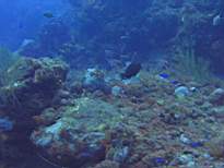 20061127_MA-00119.JPG