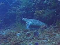 20061127_MA-00120.JPG