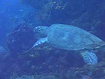 20061127_MA-00121.JPG