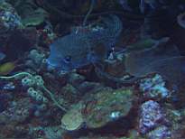20061127_MA-00124.JPG
