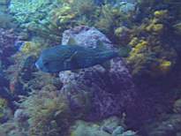20061127_MA-00125.JPG