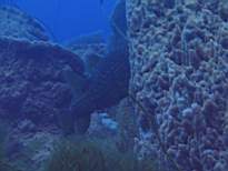 20061127_MA-00126.JPG