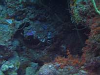 20061127_MA-00127.JPG