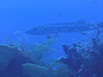 20061127_MA-00131.JPG