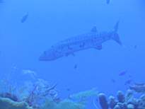 20061127_MA-00132.JPG