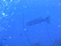 20061127_MA-00133.JPG