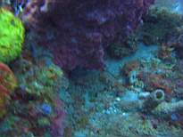 20061127_MA-00136.JPG
