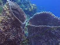 20061127_MA-00137.JPG