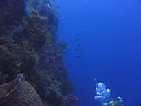 20061127_MA-00138.JPG