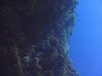 20061127_MA-00139.JPG
