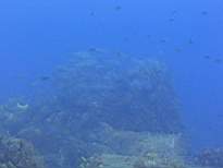 20061127_MA-00141.JPG