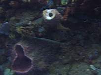 20061127_MA-00143.JPG
