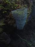 20061127_MA-00145.JPG