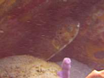 20061127_MA-00147.JPG