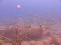 20061127_MI-00151.JPG
