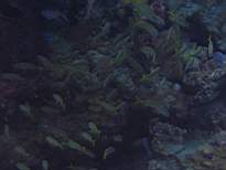 20061127_MI-00157.JPG