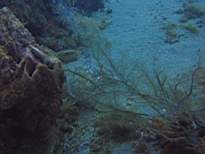 20061127_MI-00164.JPG